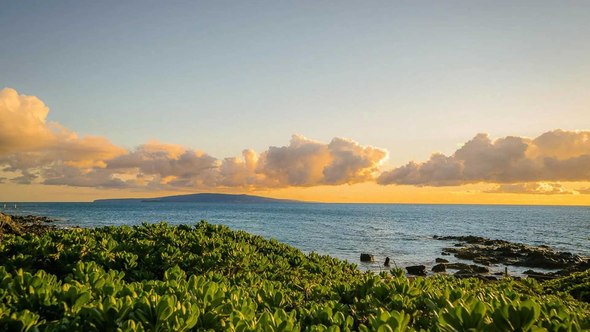 Appartement Maui Banyan T-305 à Wailea