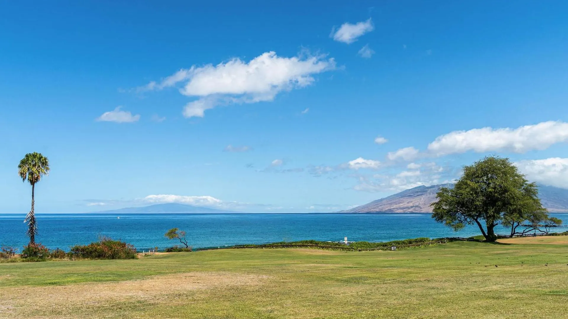 Maui Banyan T-305 Apartment Wailea